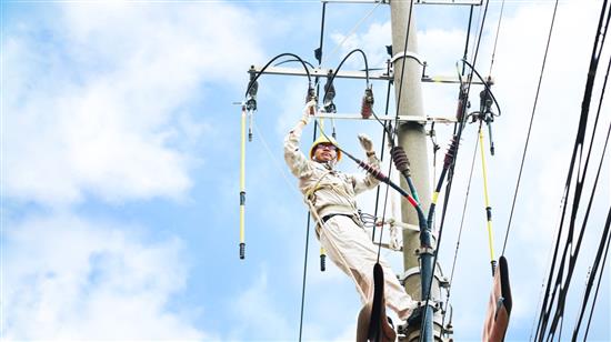 国网上海电力运维人员冒高温对电力线路进行消缺